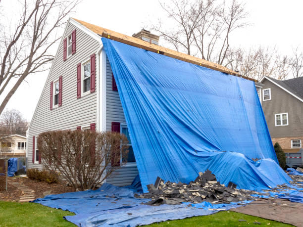 Best Fiber Cement Siding Installation  in Mount Ephraim, NJ